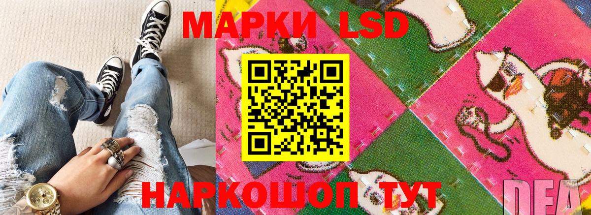 дарнет шоп  Наркотические марки 1500мкг  Вход с VPN  Иркутск 
