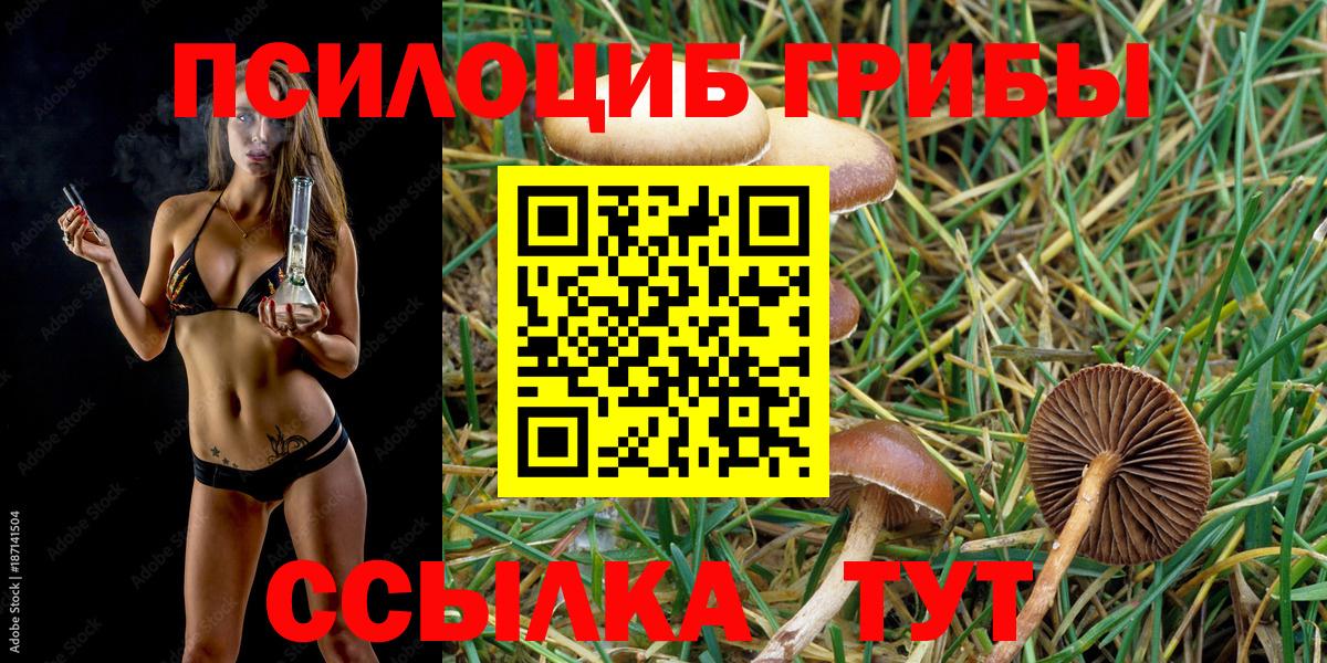 Псилоцибиновые грибы GOLDEN TEACHER  Вход с VPN  Иркутск 