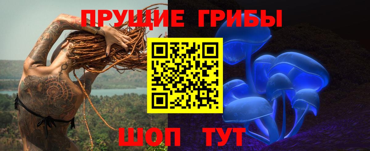 Галлюциногенные грибы прущие грибы Иркутск